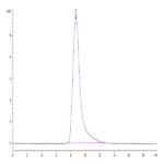 Human DLL4 Protein (DLL-HM404)