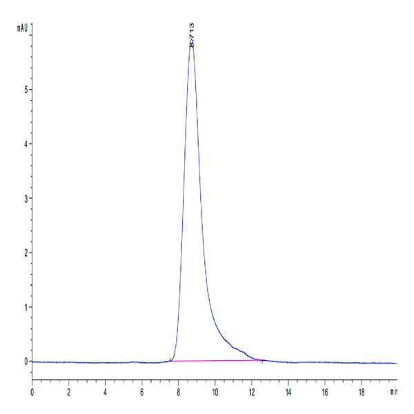 Human DLL4 Protein (DLL-HM404)