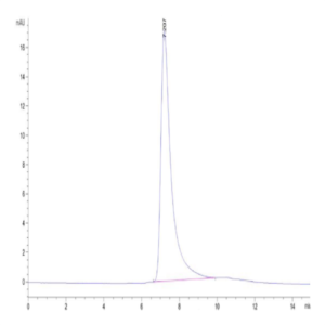 Biotinylated Human DLL4 Protein (DLL-HM404B)