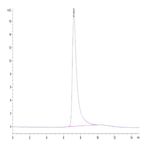 Biotinylated Human DLL4 Protein (DLL-HM404B)