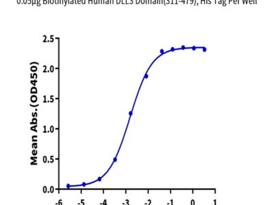 Biotinylated Human DLL3 Domain (311-479) Protein (DLL-HM4D1B)