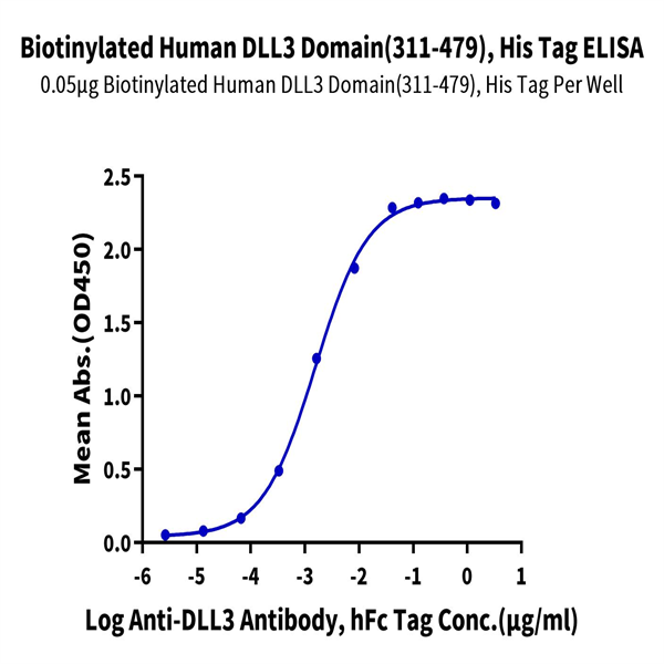 Biotinylated Human DLL3 Domain (311-479) Protein (DLL-HM4D1B) Biotinylated Human DLL3 Domain (311-479) Protein (DLL-HM4D1B)