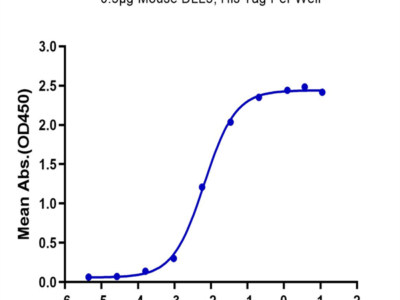 Mouse DLL3 Protein (DLL-MM103)