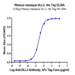 Rhesus macaque DLL3 Protein (DLL-RM103)