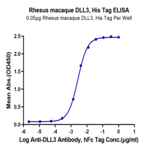 Rhesus macaque DLL3 Protein (DLL-RM103)
