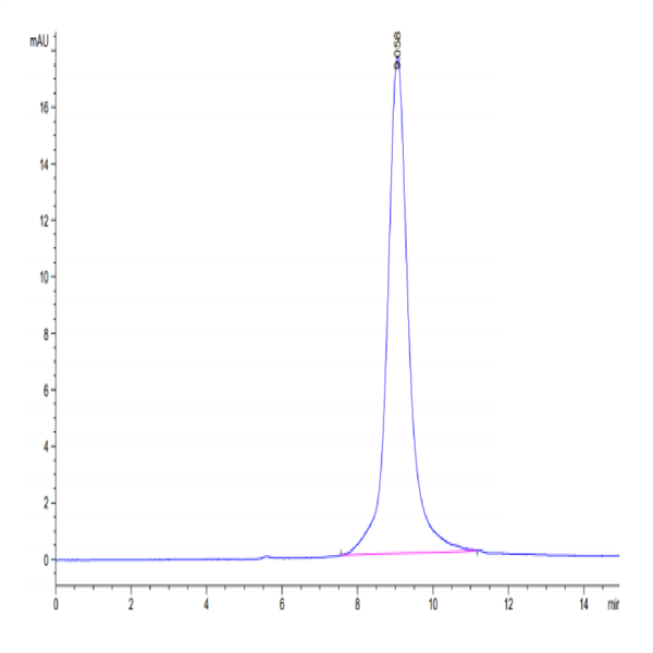 Rhesus macaque DLL3 Protein (DLL-RM103)