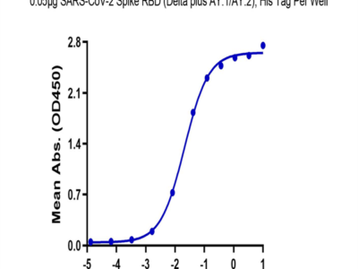 SARS-CoV-2 Spike RBD (Delta plus AY.1/AY.2) Protein (DP1-VM1BD)