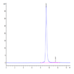 SARS-CoV-2 Spike RBD (Delta plus AY.1/AY.2) Protein (DP1-VM1BD)