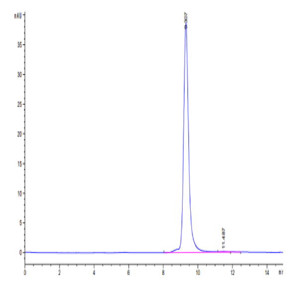 SARS-CoV-2 Spike RBD (Delta plus AY.1/AY.2) Protein (DP1-VM1BD)