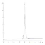 Cynomolgus/Rhesus macaque DPPIV/CD26 Protein (DPV-CM126)