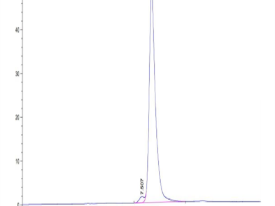 Cynomolgus/Rhesus macaque DPPIV/CD26 Protein (DPV-CM126)