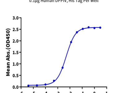 Human DPPIV/CD26 Protein (DPV-HM126)