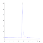 Human DPPIV/CD26 Protein (DPV-HM126)