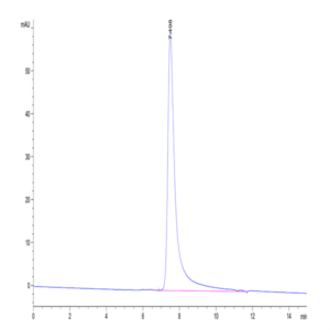 Human DPPIV/CD26 Protein (DPV-HM126)