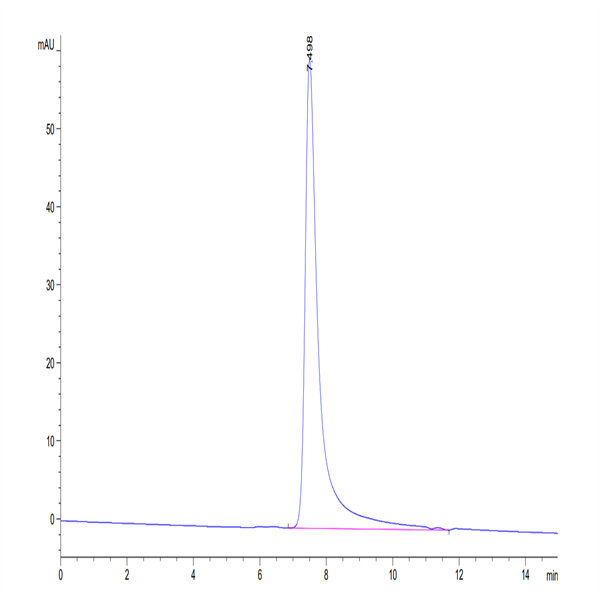 Human DPPIV/CD26 Protein (DPV-HM126)