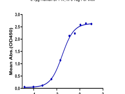 Human DPPIV/CD26 Protein (DPV-HM226)