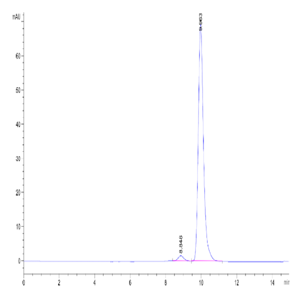 Human DPPIV/CD26 Protein (DPV-HM226)