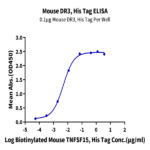 Mouse DR3/TNFRSF25 Protein (DR3-MM101)