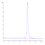 Mouse DR3/TNFRSF25 Protein (DR3-MM101)