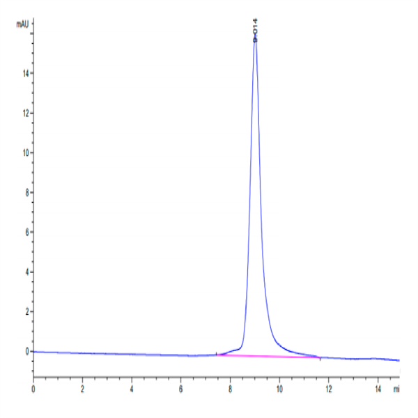 Mouse DR3/TNFRSF25 Protein (DR3-MM101)
