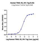 Human TRAIL R2/DR5/TNFRSF10B Protein (DR5-HM201)