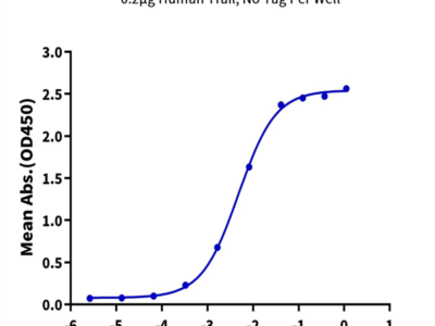 Human TRAIL R2/DR5/TNFRSF10B Protein (DR5-HM201)