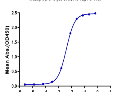 Cynomolgus DR6/TNFRSF21 Protein (DR6-CM101)