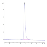 Cynomolgus DR6/TNFRSF21 Protein (DR6-CM101)