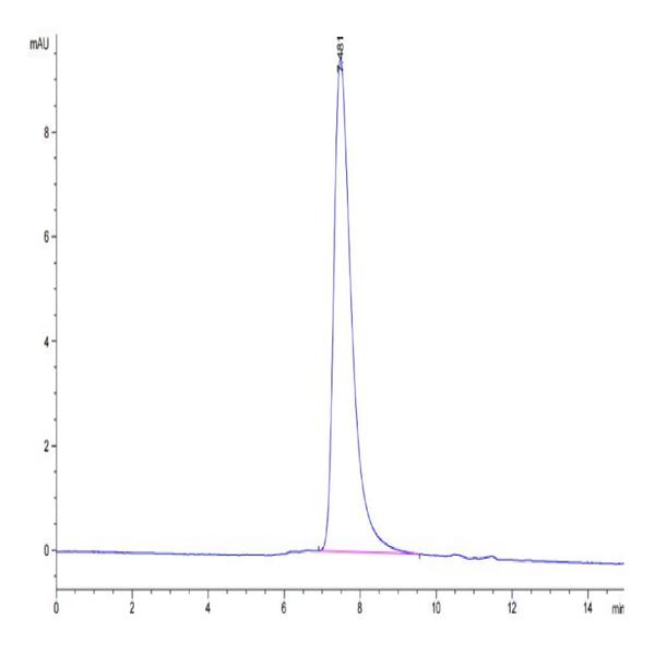 Cynomolgus DR6/TNFRSF21 Protein (DR6-CM101)