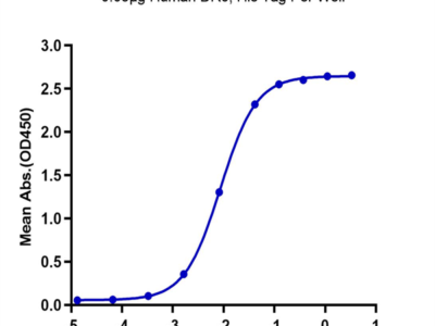 Human DR6/TNFRSF21 Protein (DR6-HM101)