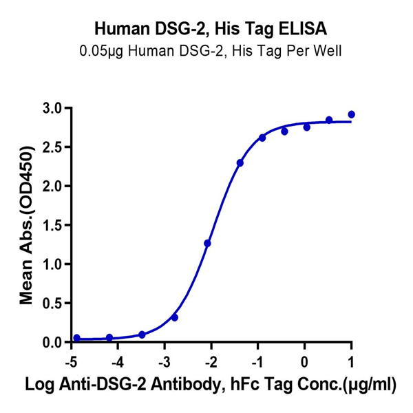 Human DSG-2/Desmoglein-2 Protein (DSG-HM102) Human DSG-2/Desmoglein-2 Protein (DSG-HM102)