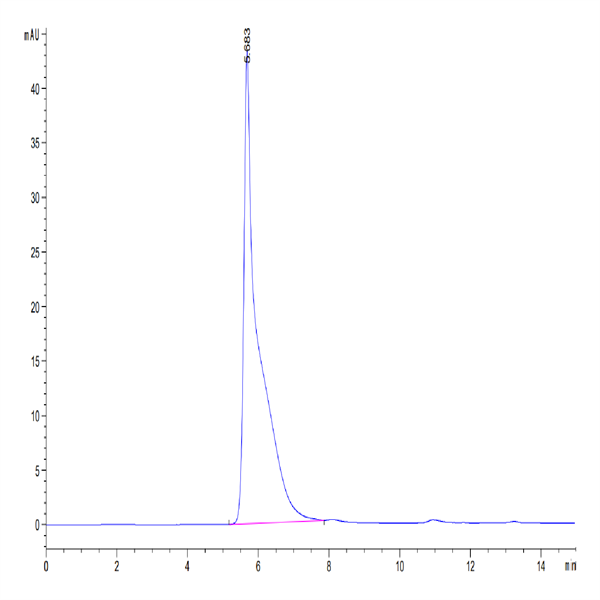 Mouse DSG-2/Desmoglein-2 Protein (DSG-MM102) Mouse DSG-2/Desmoglein-2 Protein (DSG-MM102)