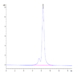 Mouse DSG3 Protein (DSG-MM103)