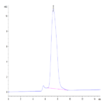 Human ECSCR Protein (ECS-HM201)