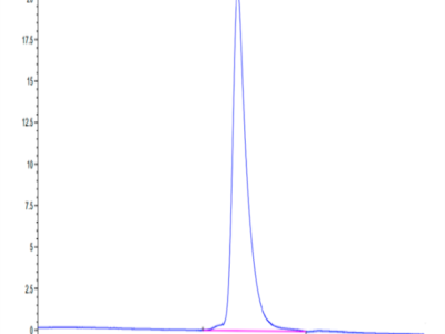 Mouse EDA2R Protein (EDA-MM22R)