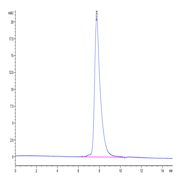 Mouse EDA2R Protein (EDA-MM22R) Mouse EDA2R Protein (EDA-MM22R)