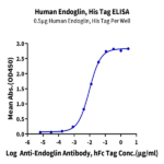 Human Endoglin/CD105 Protein (EDG-HM401)