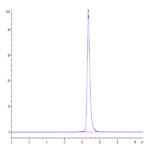Human/Cynomolgus EFNA3/Ephrin A3 Protein (EFN-CM1A3)