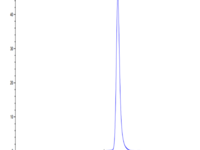 Human/Cynomolgus EFNA3/Ephrin A3 Protein (EFN-CM1A3)