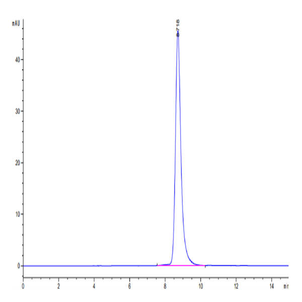 Human/Cynomolgus EFNA3/Ephrin A3 Protein (EFN-CM1A3) Human/Cynomolgus EFNA3/Ephrin A3 Protein (EFN-CM1A3)