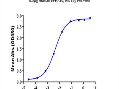 Human/Cynomolgus Ephrin-A3/EFNA3 Protein (EFN-HM2A3)