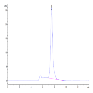 Human/Cynomolgus Ephrin-A3/EFNA3 Protein (EFN-HM2A3)