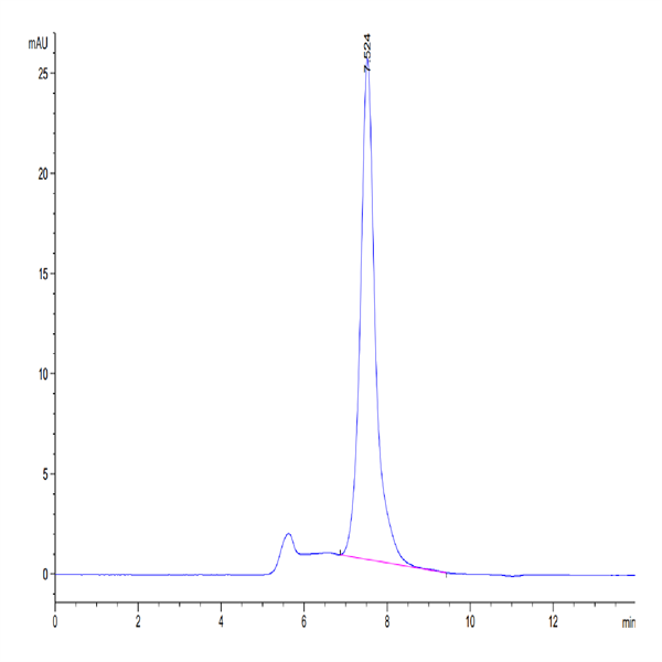 Human/Cynomolgus Ephrin-A3/EFNA3 Protein (EFN-HM2A3)