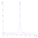 Mouse Ephrin-A3/EFNA3 Protein (EFN-MM2A3)