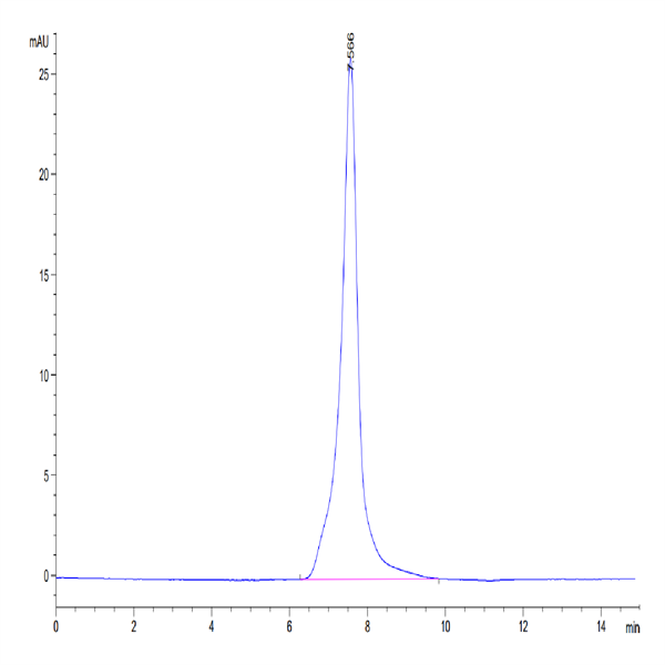 Mouse Ephrin-A3/EFNA3 Protein (EFN-MM2A3) Mouse Ephrin-A3/EFNA3 Protein (EFN-MM2A3)