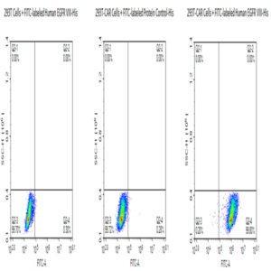 FITC-Labeled Human EGFRVIII Protein (EG8-HM154F)