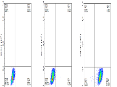 FITC-Labeled Human EGFRVIII Protein (EG8-HM154F)