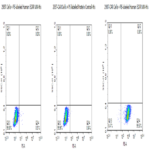 PE-Labeled Human EGFRVIII Protein (EG8-HM154P)