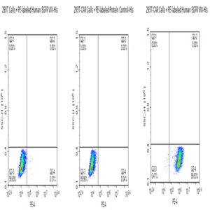 PE-Labeled Human EGFRVIII Protein (EG8-HM154P)