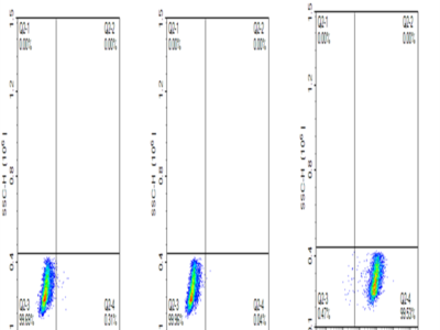 PE-Labeled Human EGFRVIII Protein (EG8-HM154P)